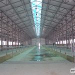 Commercial dairy complex МТК 600